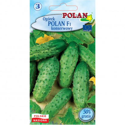 Ogórek konserwowy Polan F1