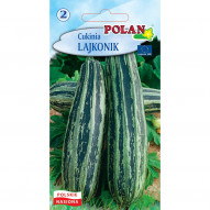 Dynia zwyczajna - cukinia Lajkonik