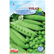 Groch siewny łuskowy o nasionach pomarszczonych