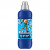 Coccolino Passion Flower & Bergamot Płyn do płukania tkanin koncentrat 925 ml (37 prań)