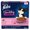 Felix Doubly Delicious Junior Karma z mieszanką kurczaka i indyka i z warzywami 2-12 miesięcy 800 g