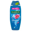 Palmolive żel pod prysznic Thermal Spa Mineral Massage 500 ml