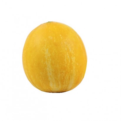 Melon żółty