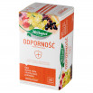 Herbapol Odporność Suplement diety herbatka ziołowo-owocowa 40 g (20 x 2 g)